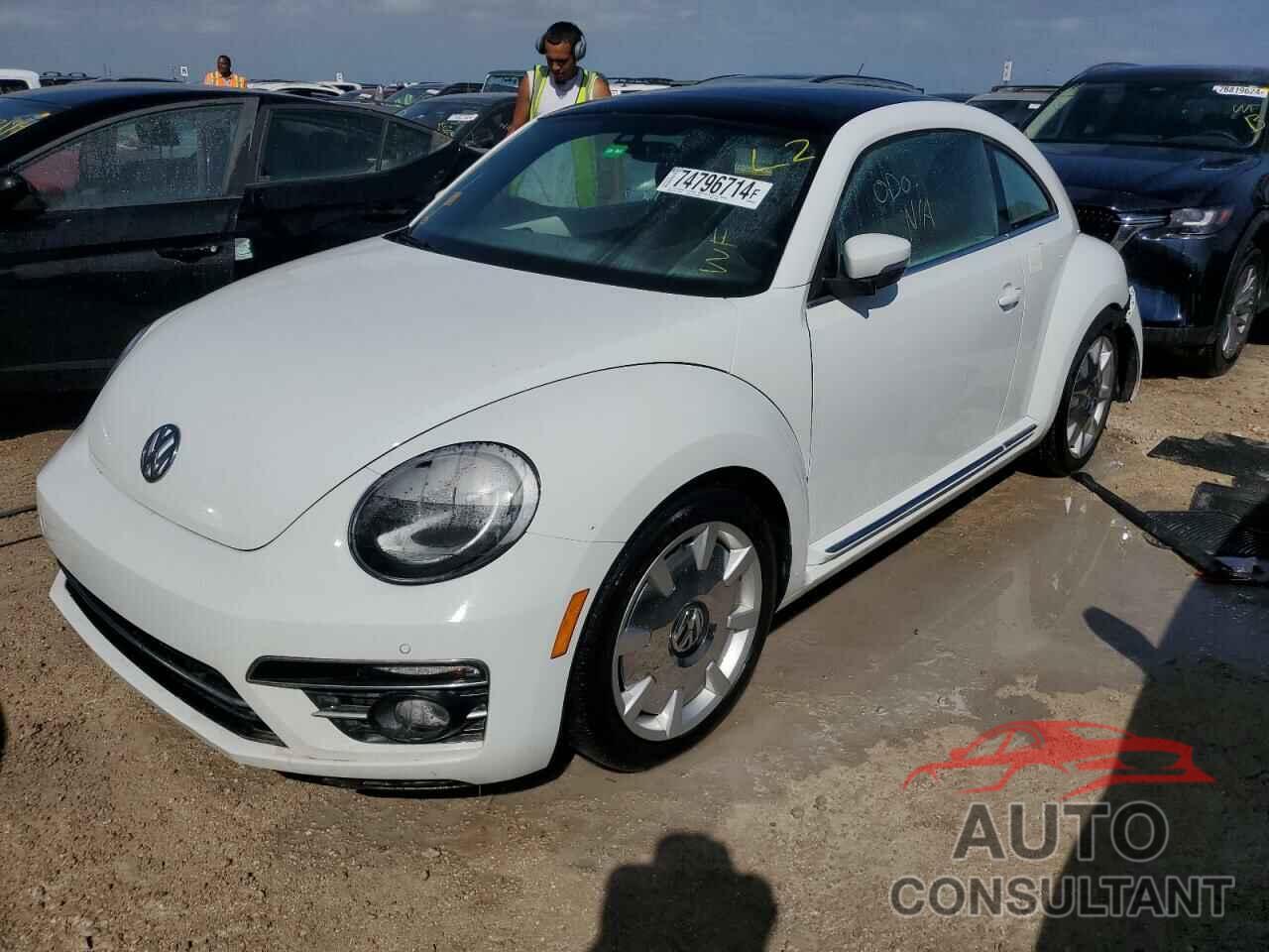VOLKSWAGEN BEETLE 2019 - 3VWJD7AT0KM713066