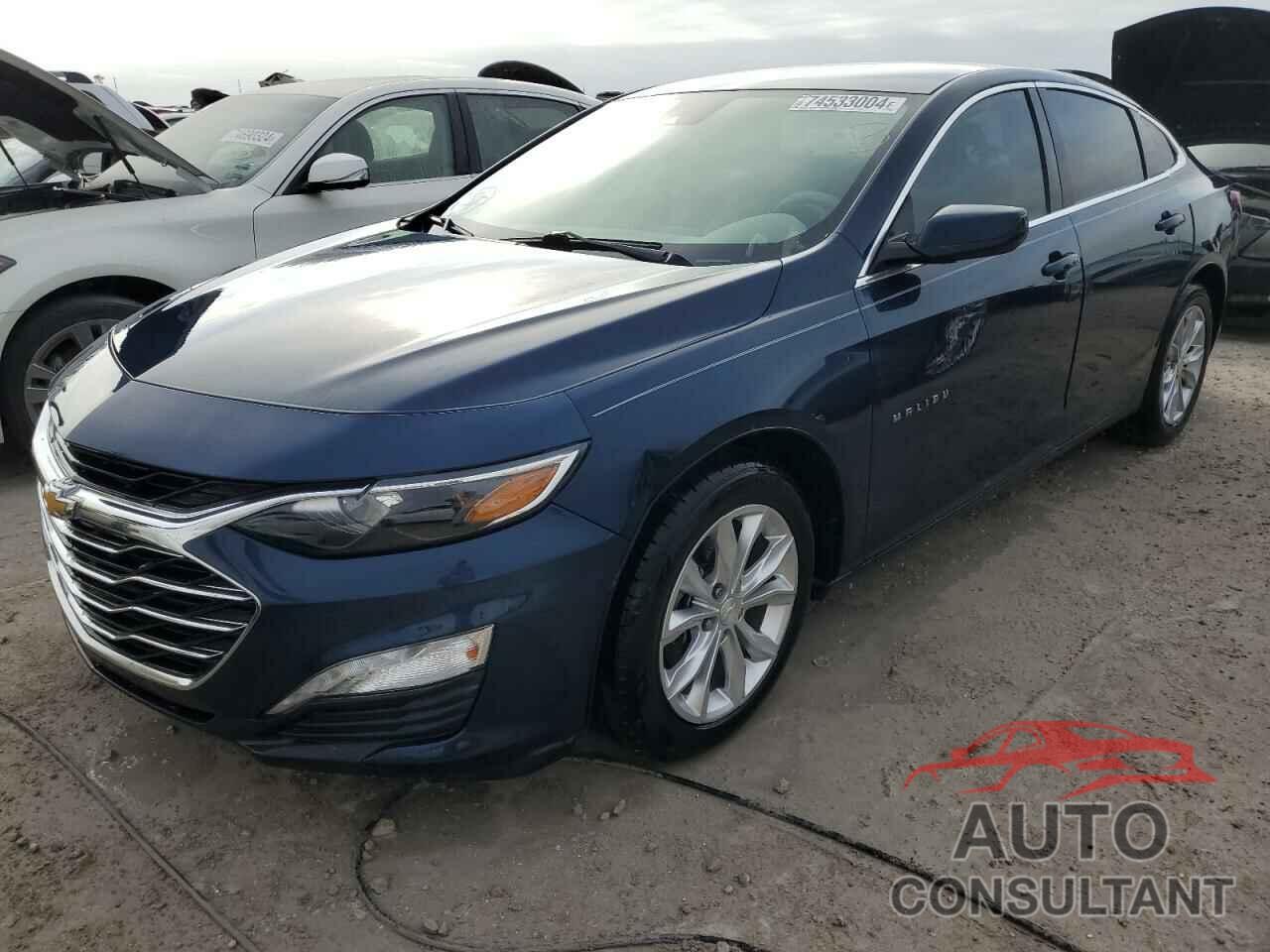 CHEVROLET MALIBU 2019 - 1G1ZD5ST7KF134013