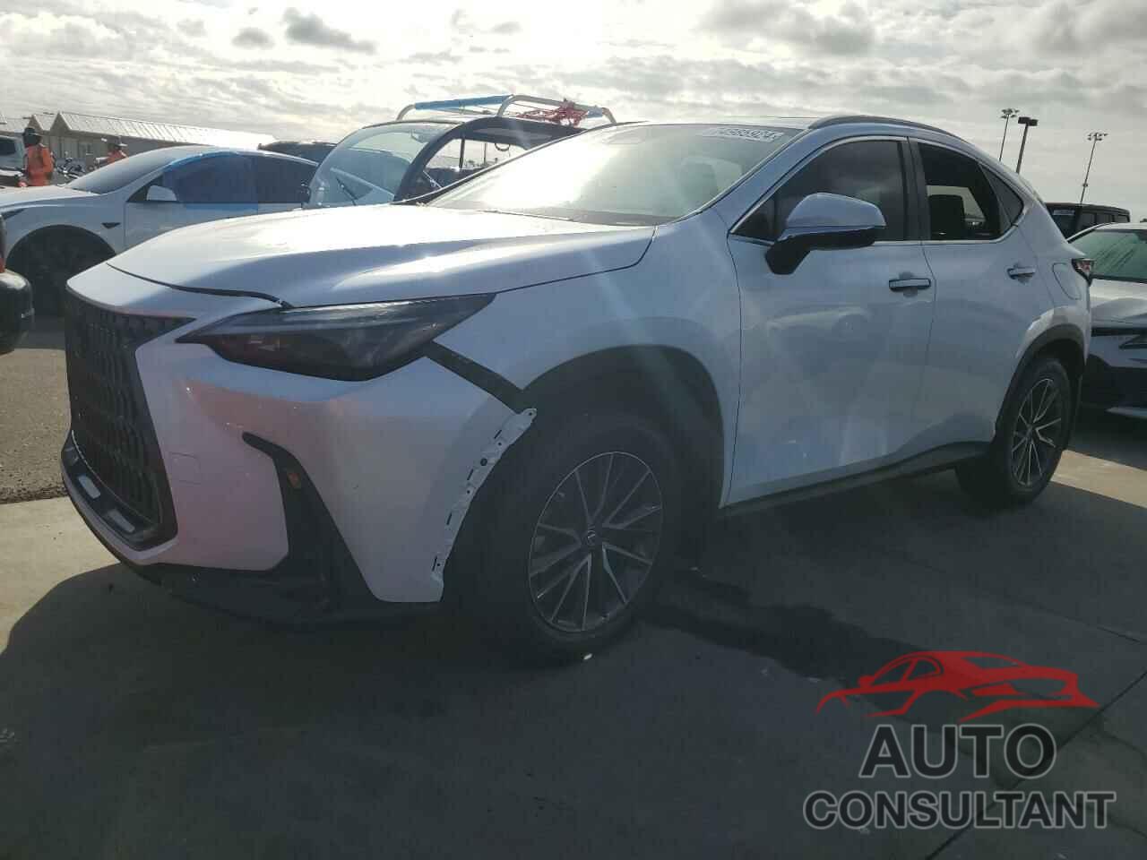 LEXUS NX 350H BA 2024 - 2T2AKCEZXRC028765