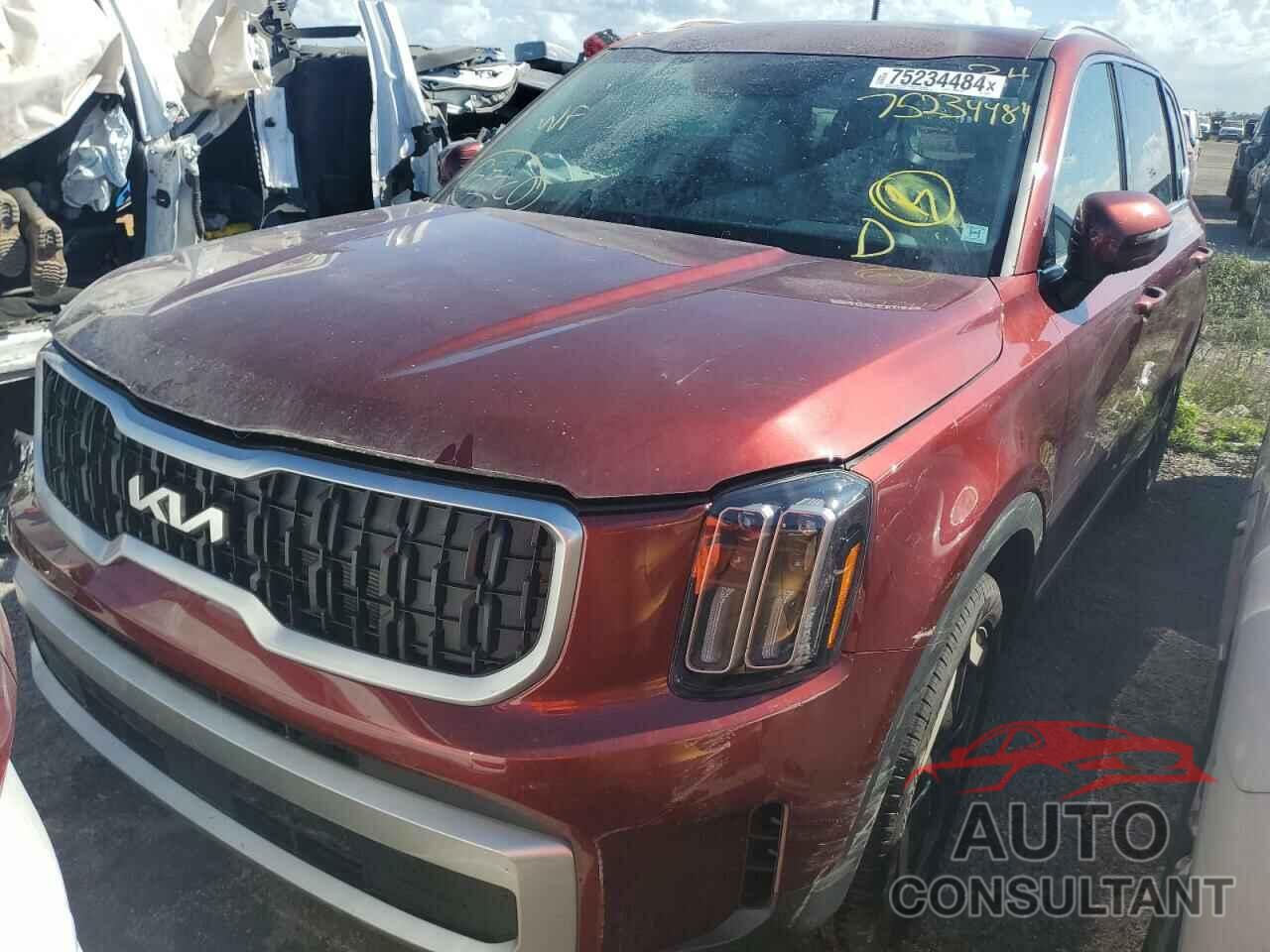 KIA TELLURIDE 2024 - 5XYP34GC9RG481807