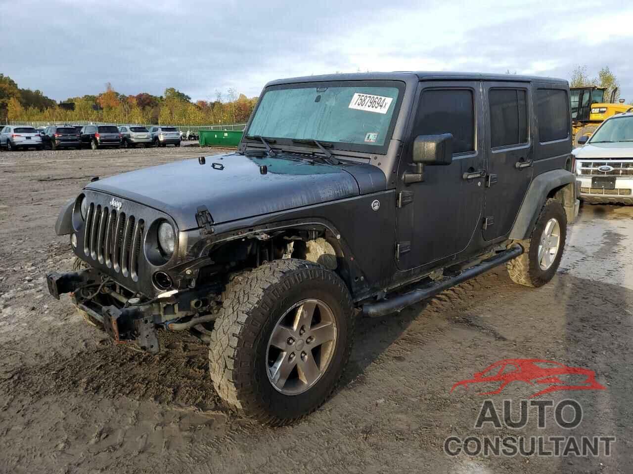 JEEP WRANGLER 2017 - 1C4BJWDG1HL593796
