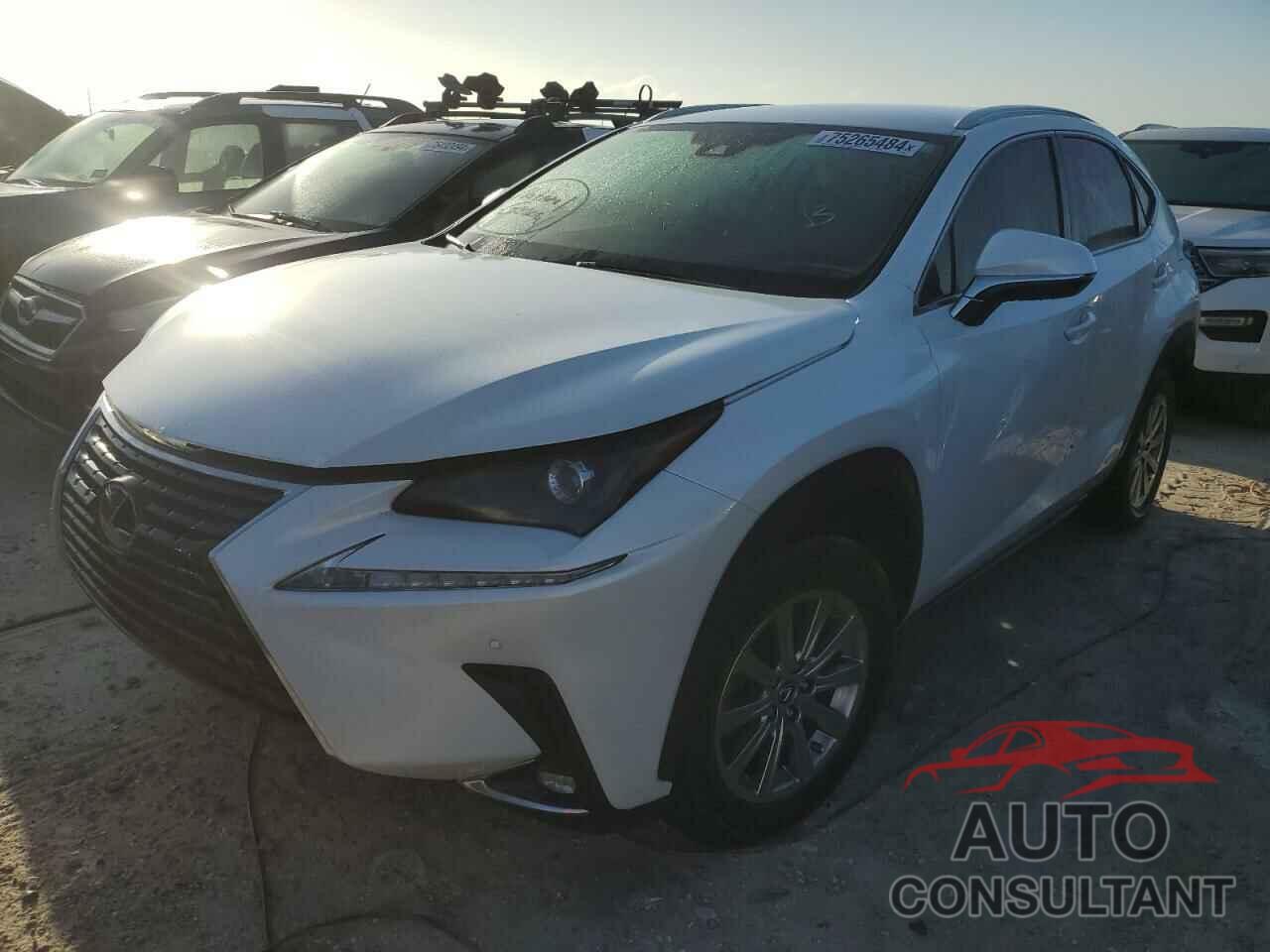 LEXUS NX 2020 - JTJDJRDZ2L5008004