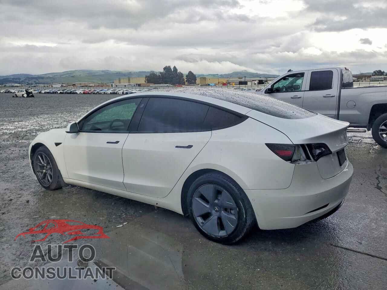 TESLA MODEL 3 2021 - 5YJ3E1EB3MF858262