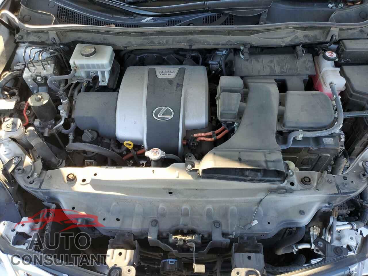 LEXUS RX450 2019 - 2T2BGMCA7KC036286