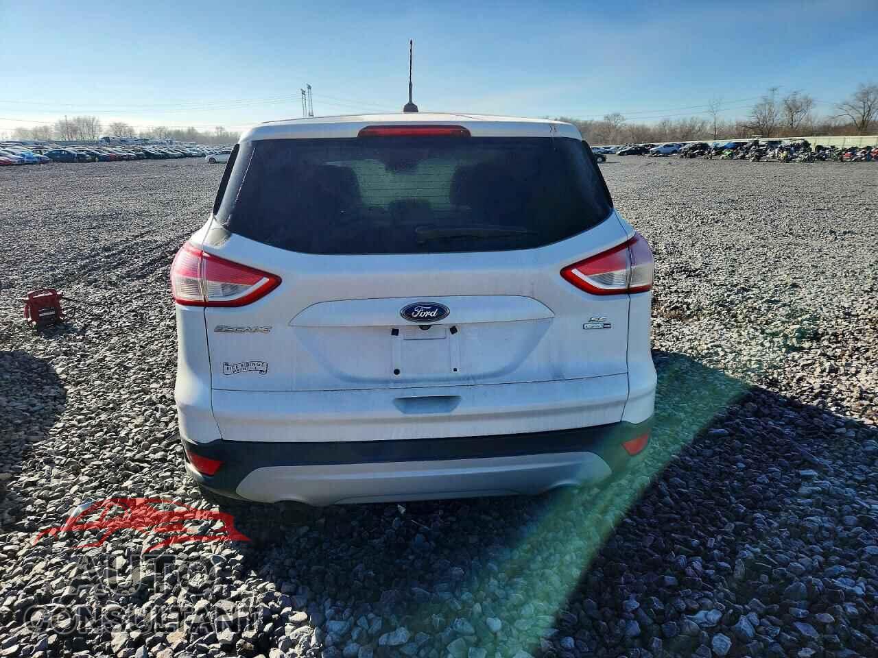 FORD ESCAPE 2014 - 1FMCU9GX4EUB60435