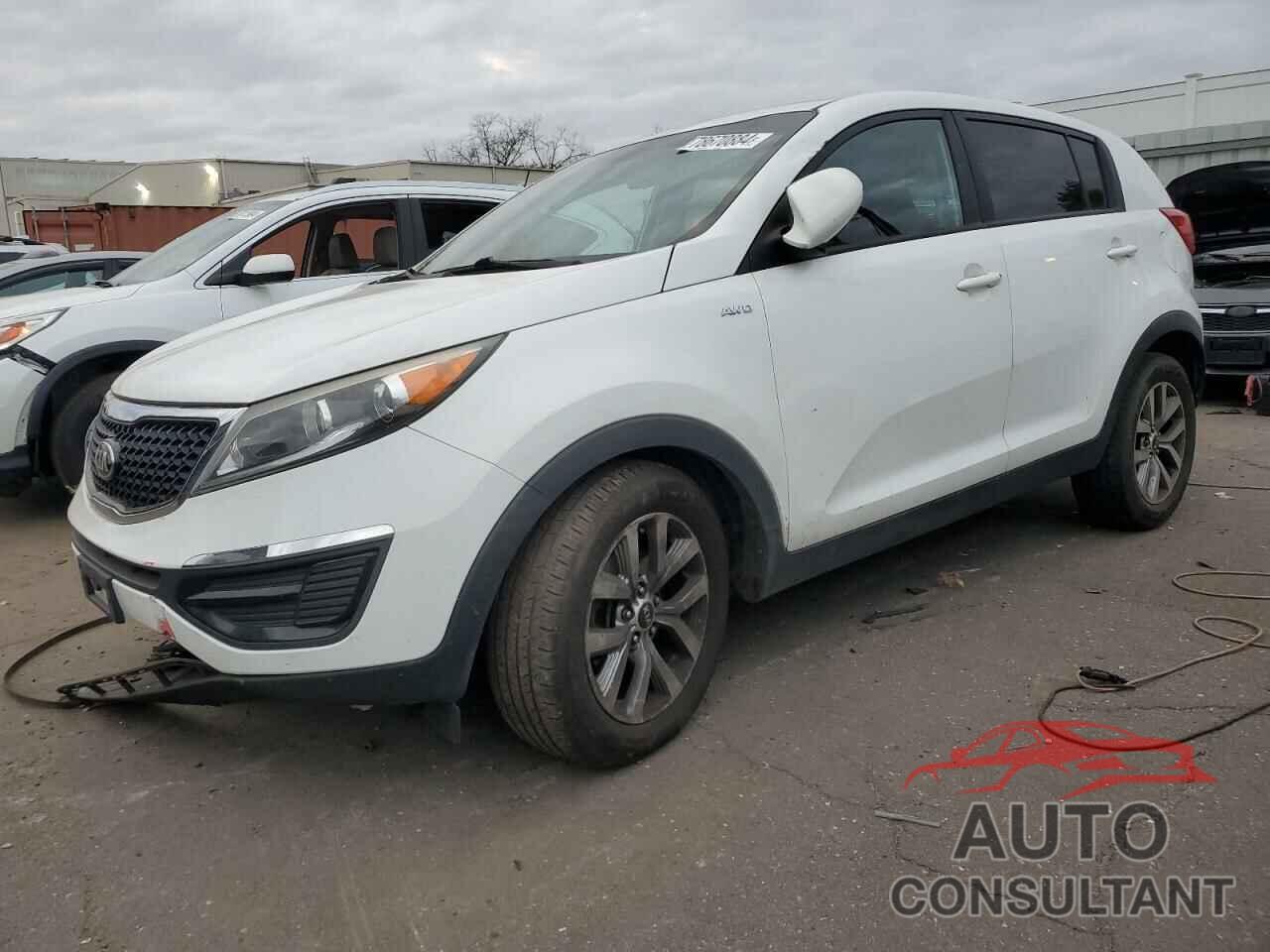 KIA SPORTAGE 2016 - KNDPBCAC1G7803050