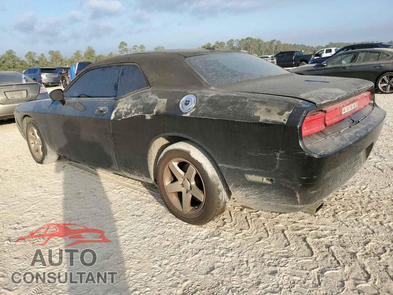 DODGE CHALLENGER 2010 - 2B3CJ4DV2AH184041