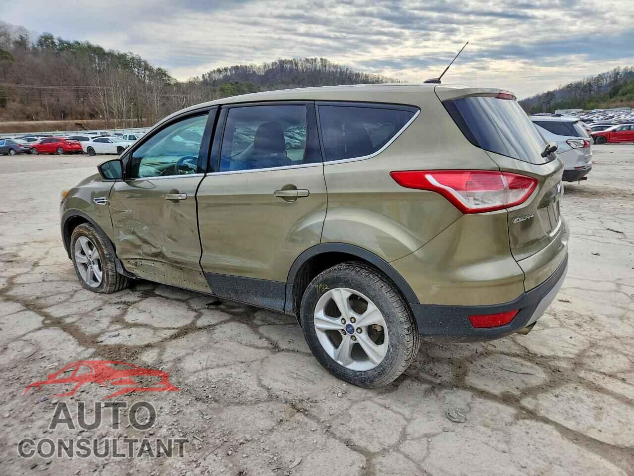 FORD ESCAPE 2014 - 1FMCU0GX4EUB03096