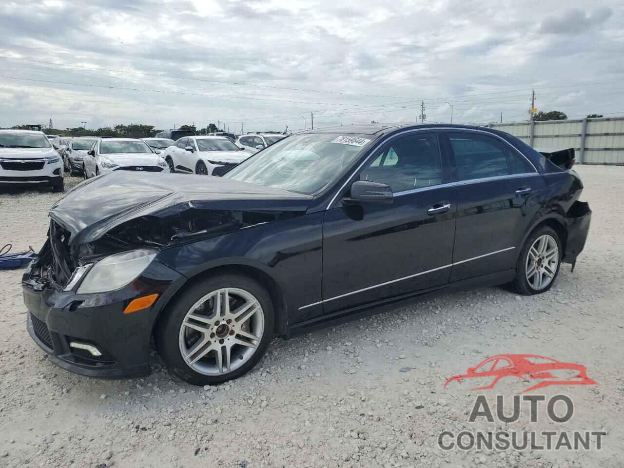 MERCEDES-BENZ E-CLASS 2010 - WDDHF9AB7AA161923