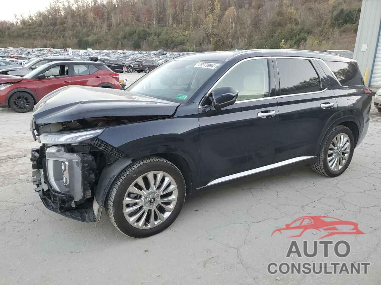 HYUNDAI PALISADE 2020 - KM8R5DHE7LU048846