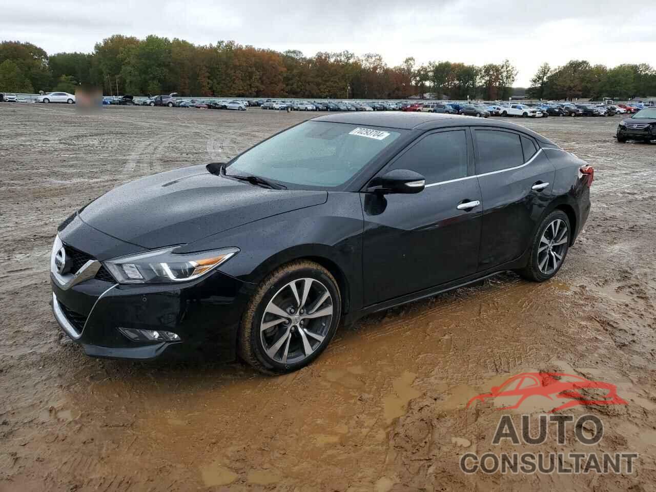 NISSAN MAXIMA 2017 - 1N4AA6AP5HC383224