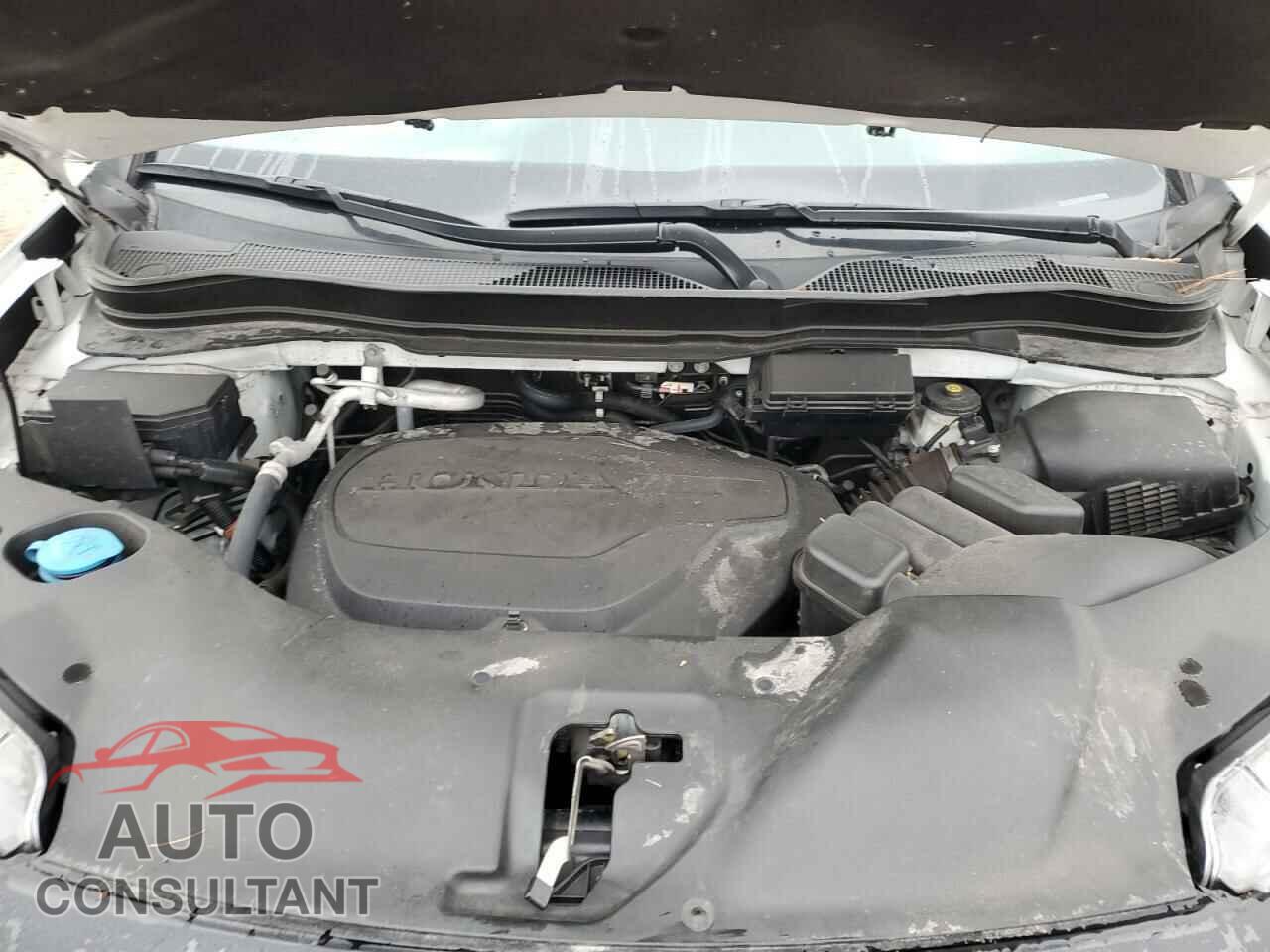 HONDA PILOT 2021 - 5FNYF6H76MB027068