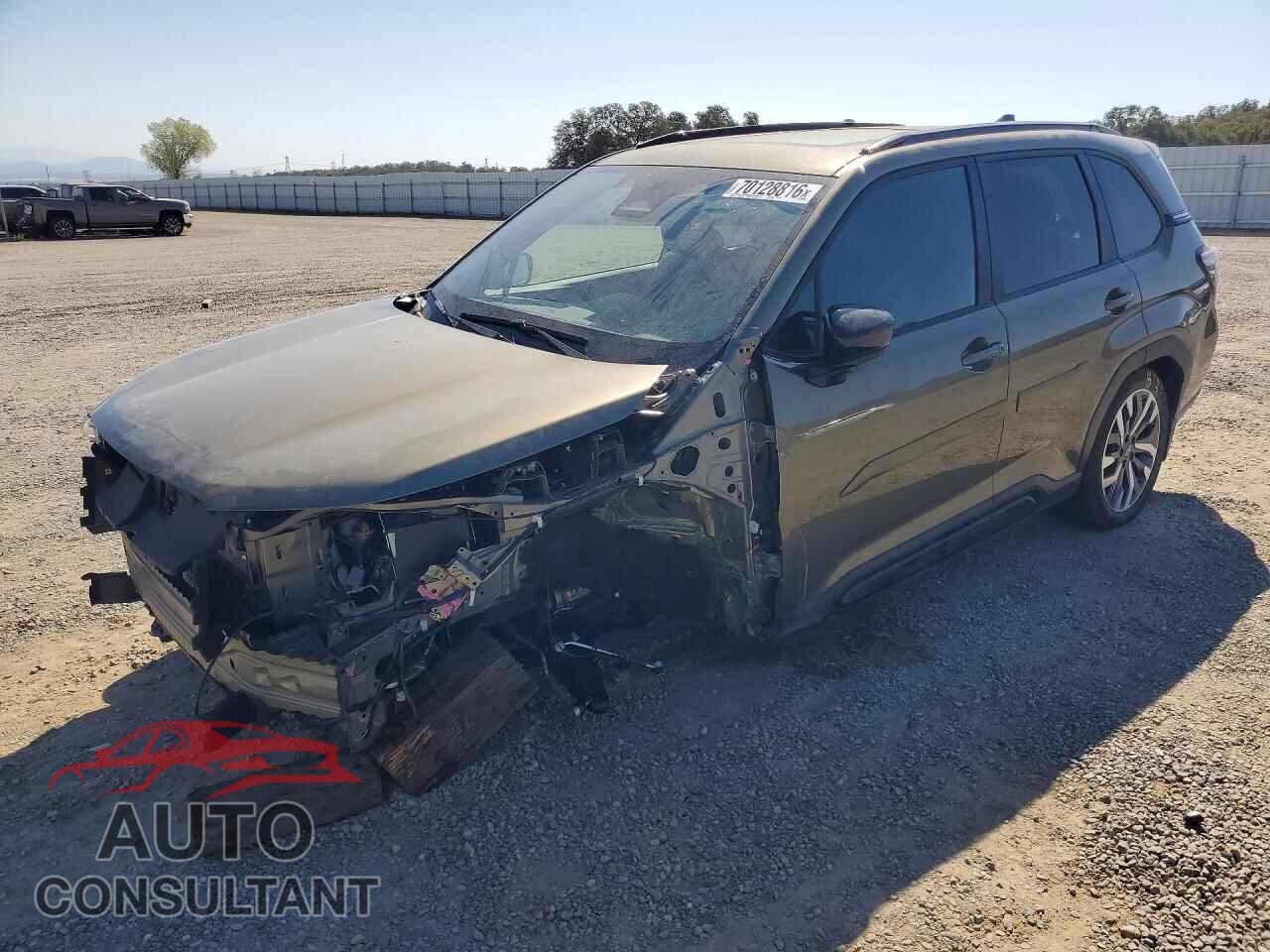 SUBARU FORESTER 2025 - JF2SLDTC9SH601832