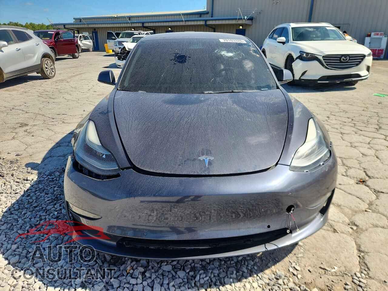 TESLA MODEL 3 2021 - 5YJ3E1EA1MF086030