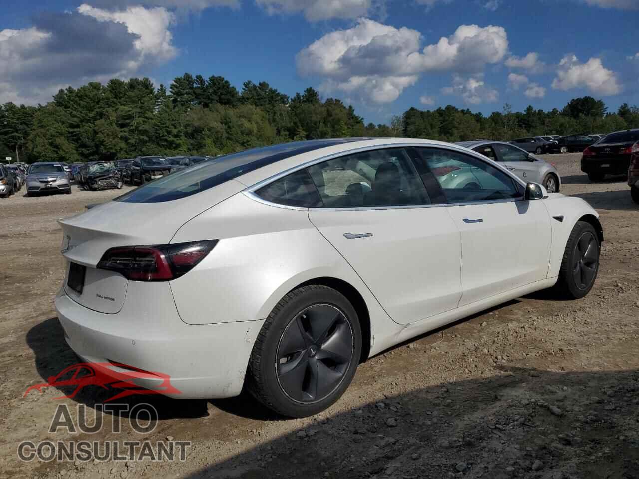 TESLA MODEL 3 2019 - 5YJ3E1EB8KF511894