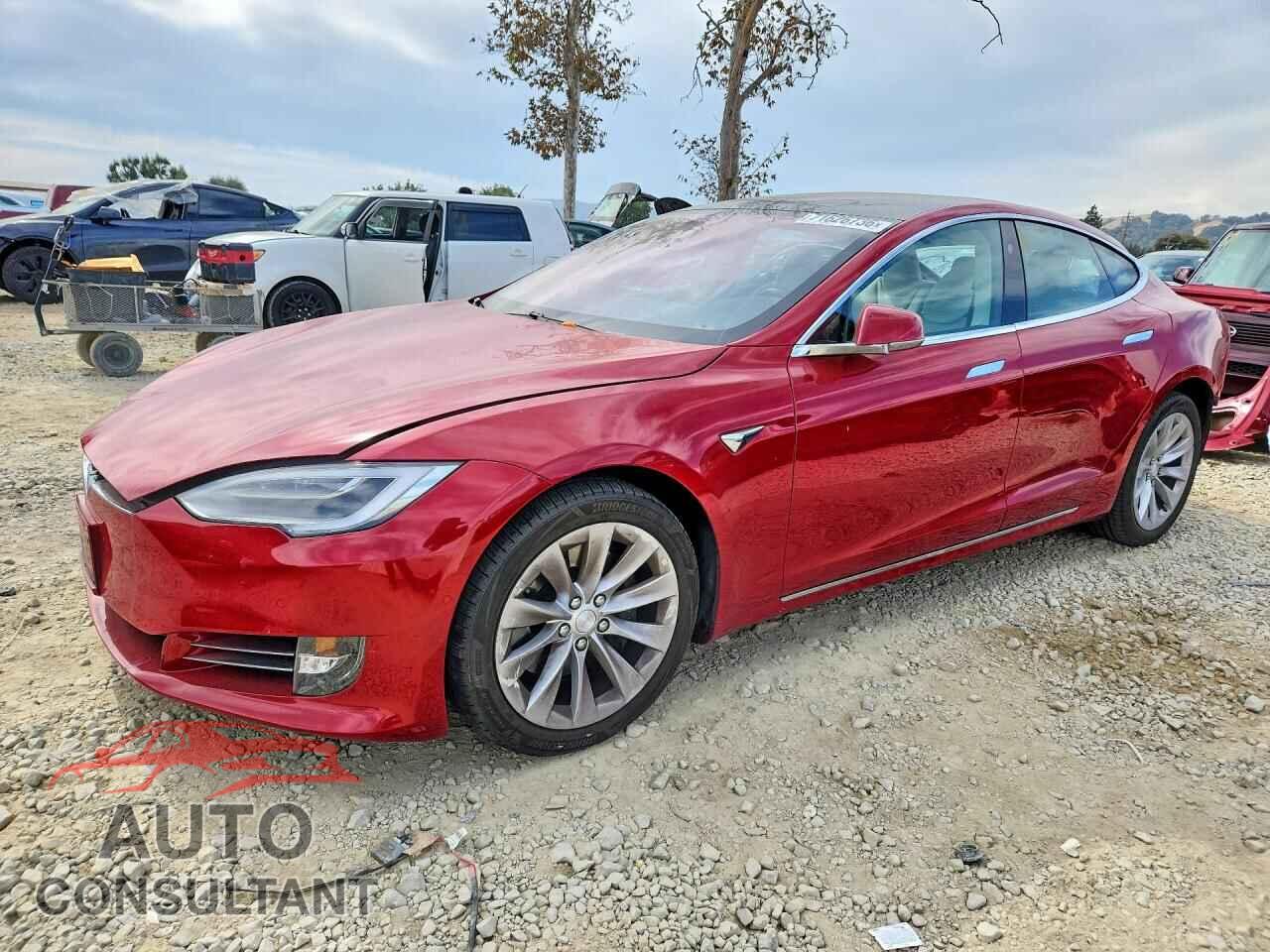 TESLA MODEL S 2019 - 5YJSA1E21KF303993