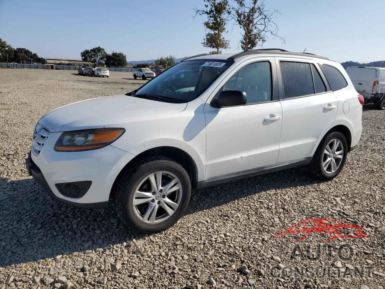 HYUNDAI SANTA FE 2010 - 5NMSG3AB3AH396044