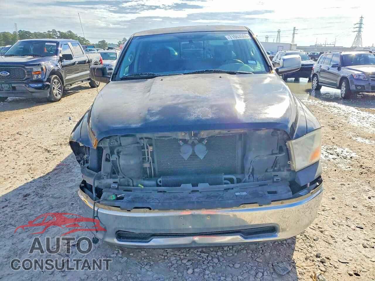 DODGE RAM 1500 2010 - 1D7RB1GP8AS231265