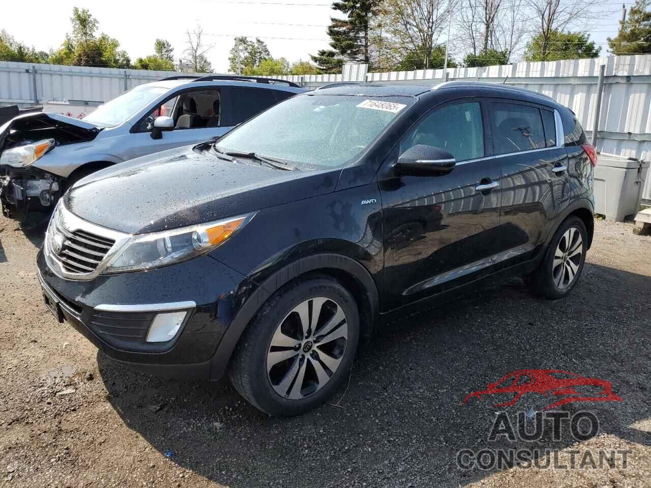 KIA SPORTAGE 2013 - KNDPCCA27D7399882