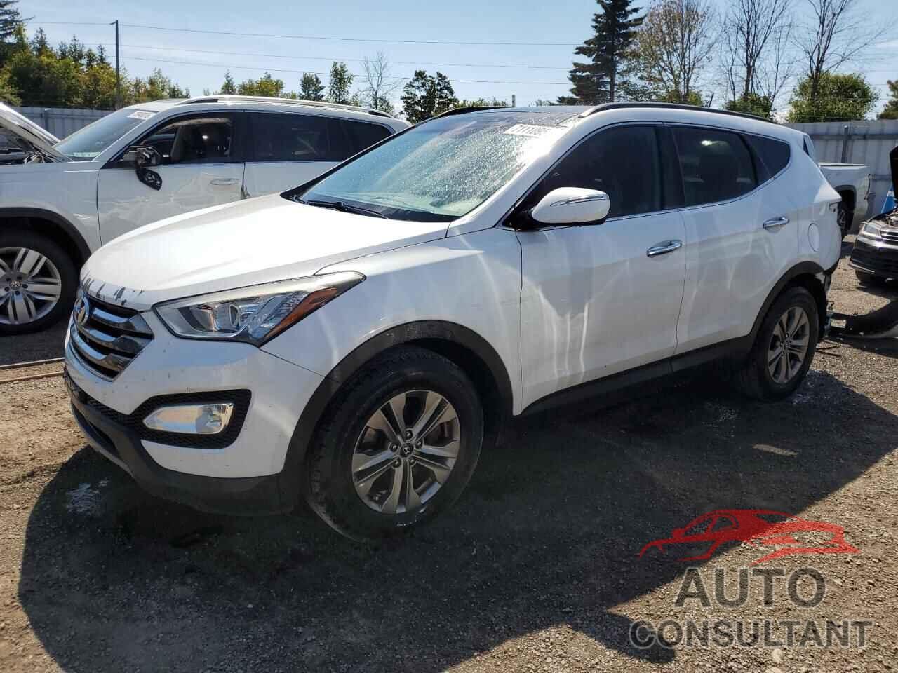 HYUNDAI SANTA FE 2014 - 5XYZUDLB5EG150302