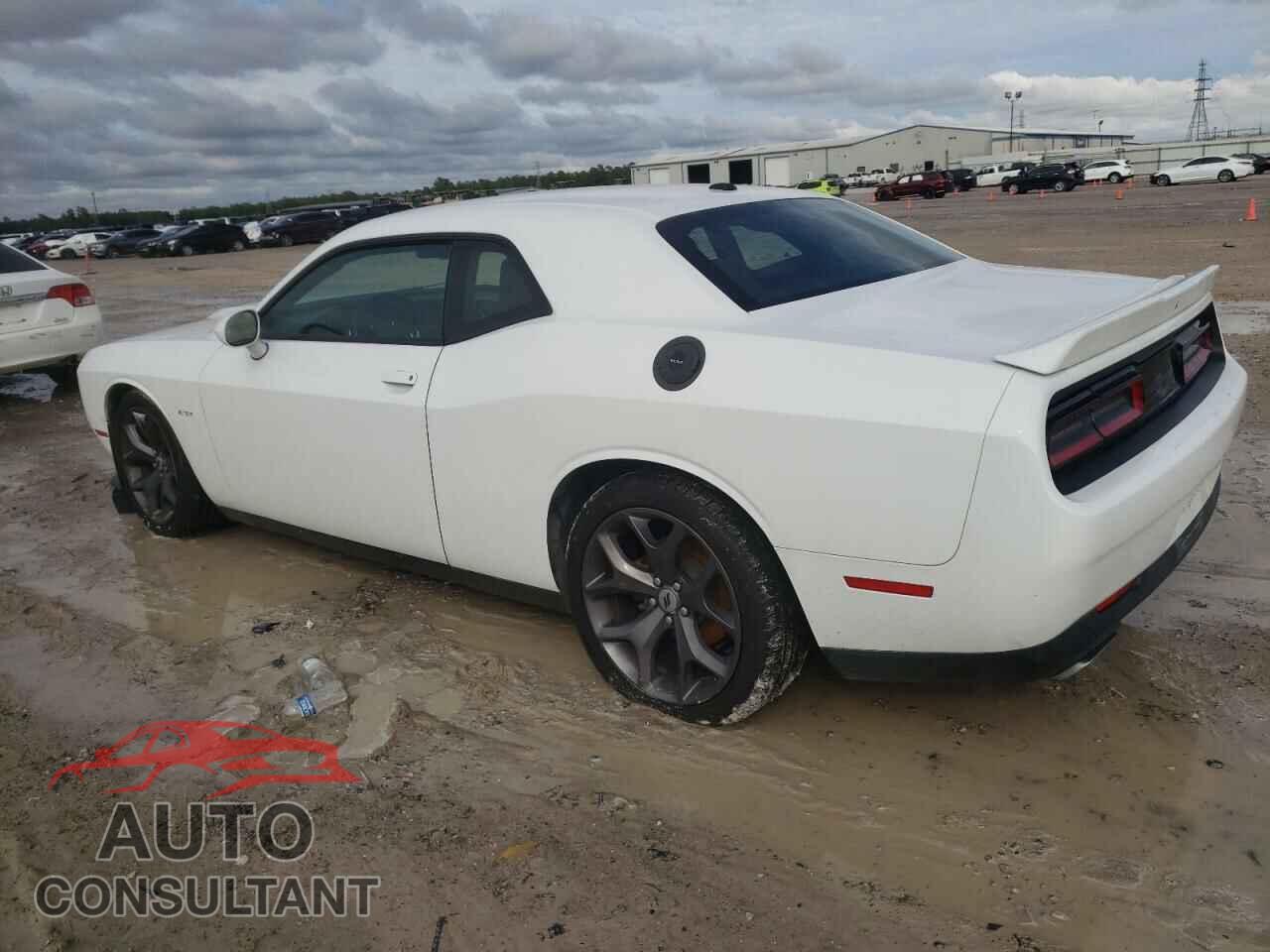 DODGE CHALLENGER 2019 - 2C3CDZBT5KH708440
