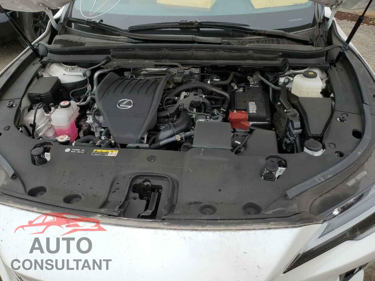 LEXUS RX350 2023 - 2T2BAMCA6PC029080