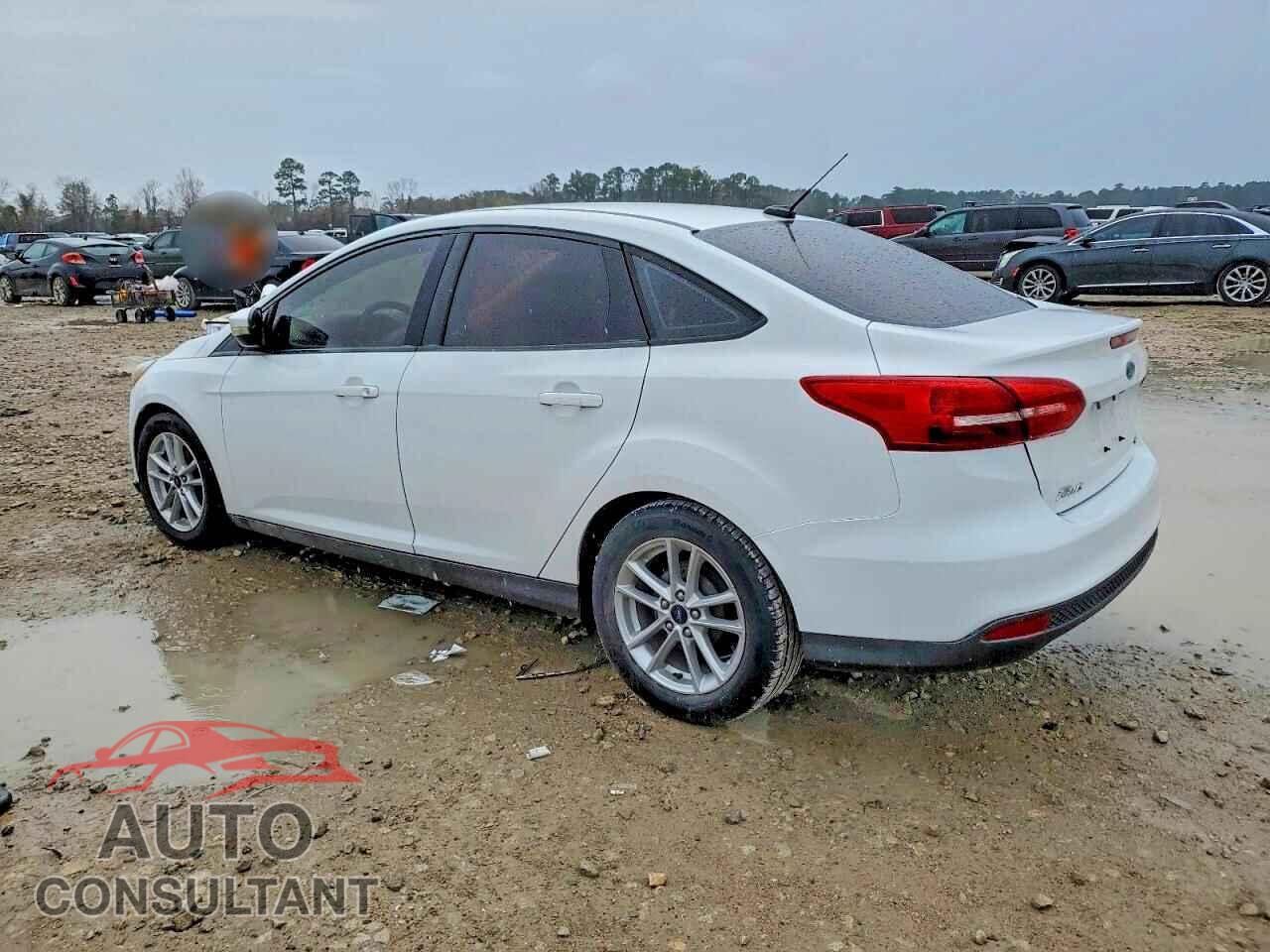 FORD FOCUS 2017 - 1FADP3F29HL285465