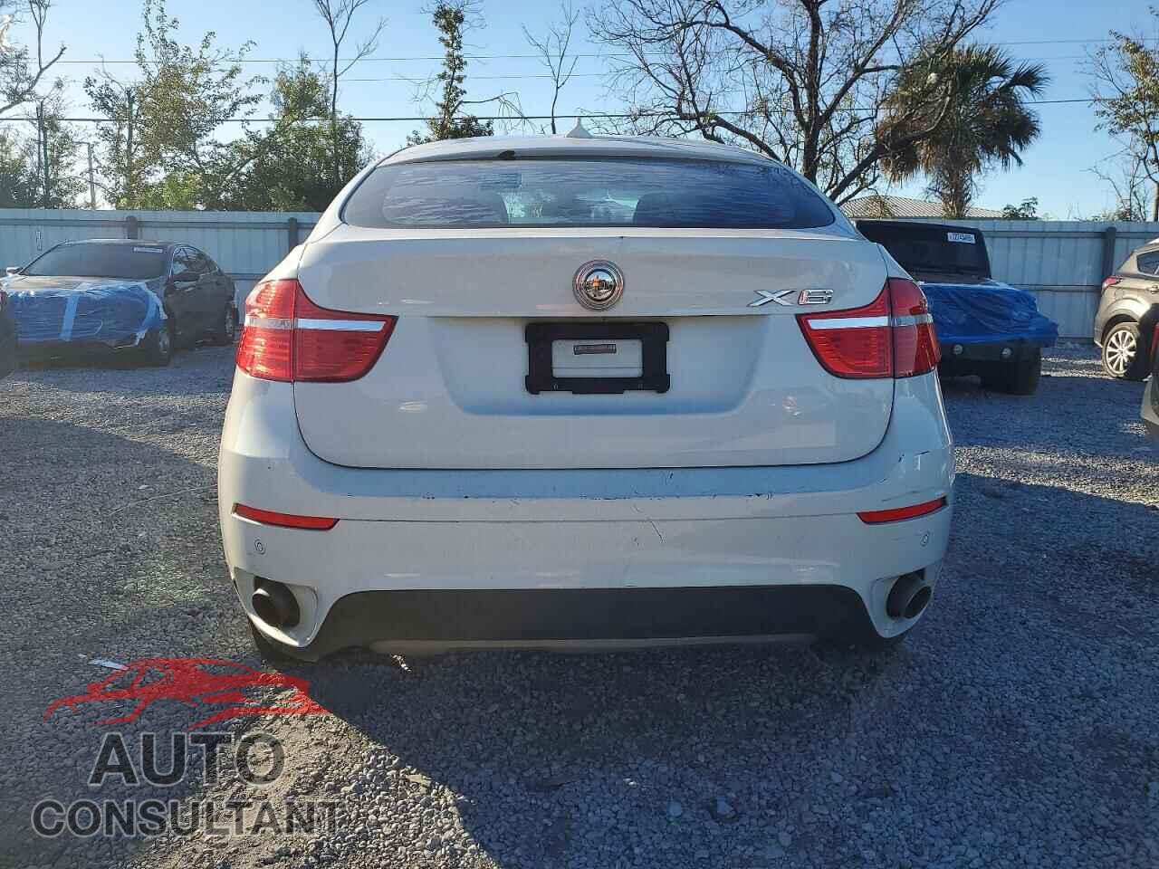 BMW X6 2011 - 5UXFG2C56BLX05720