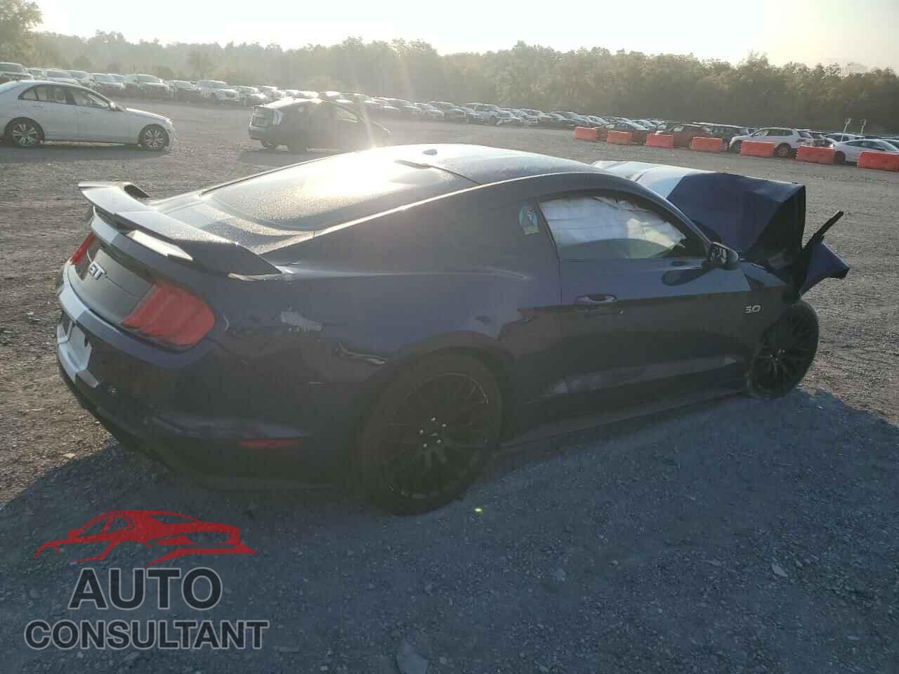 FORD MUSTANG 2019 - 1FA6P8CF5K5122059