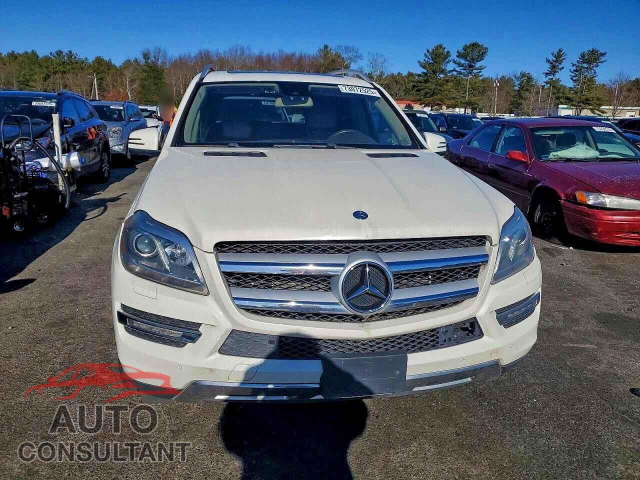 MERCEDES-BENZ GL-CLASS 2013 - 4JGDF7CE8DA162857