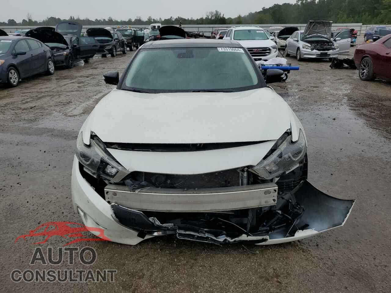 NISSAN MAXIMA 2016 - 1N4AA6AP1GC401541