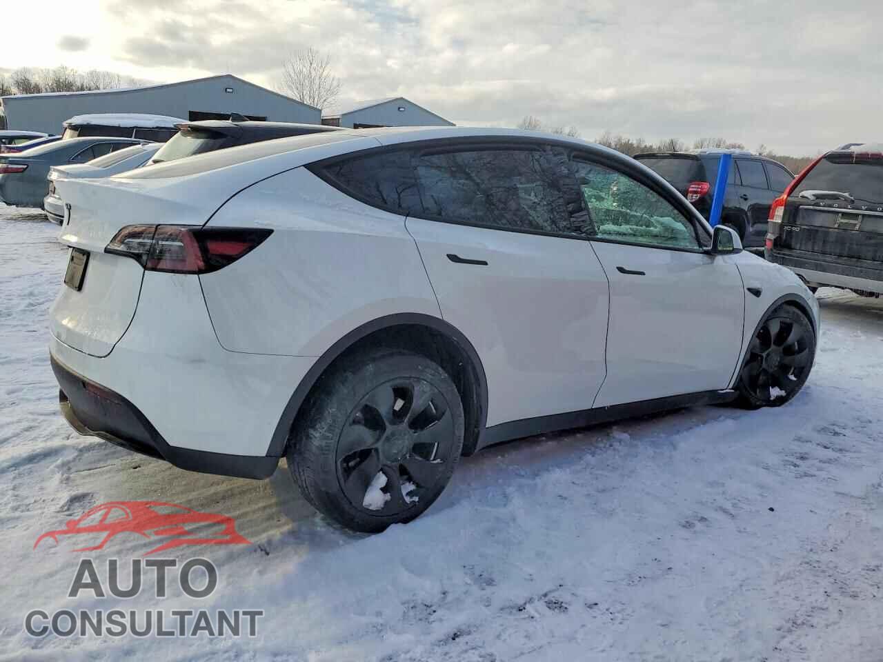 TESLA MODEL Y 2024 - 7SAYGDED0RF990070