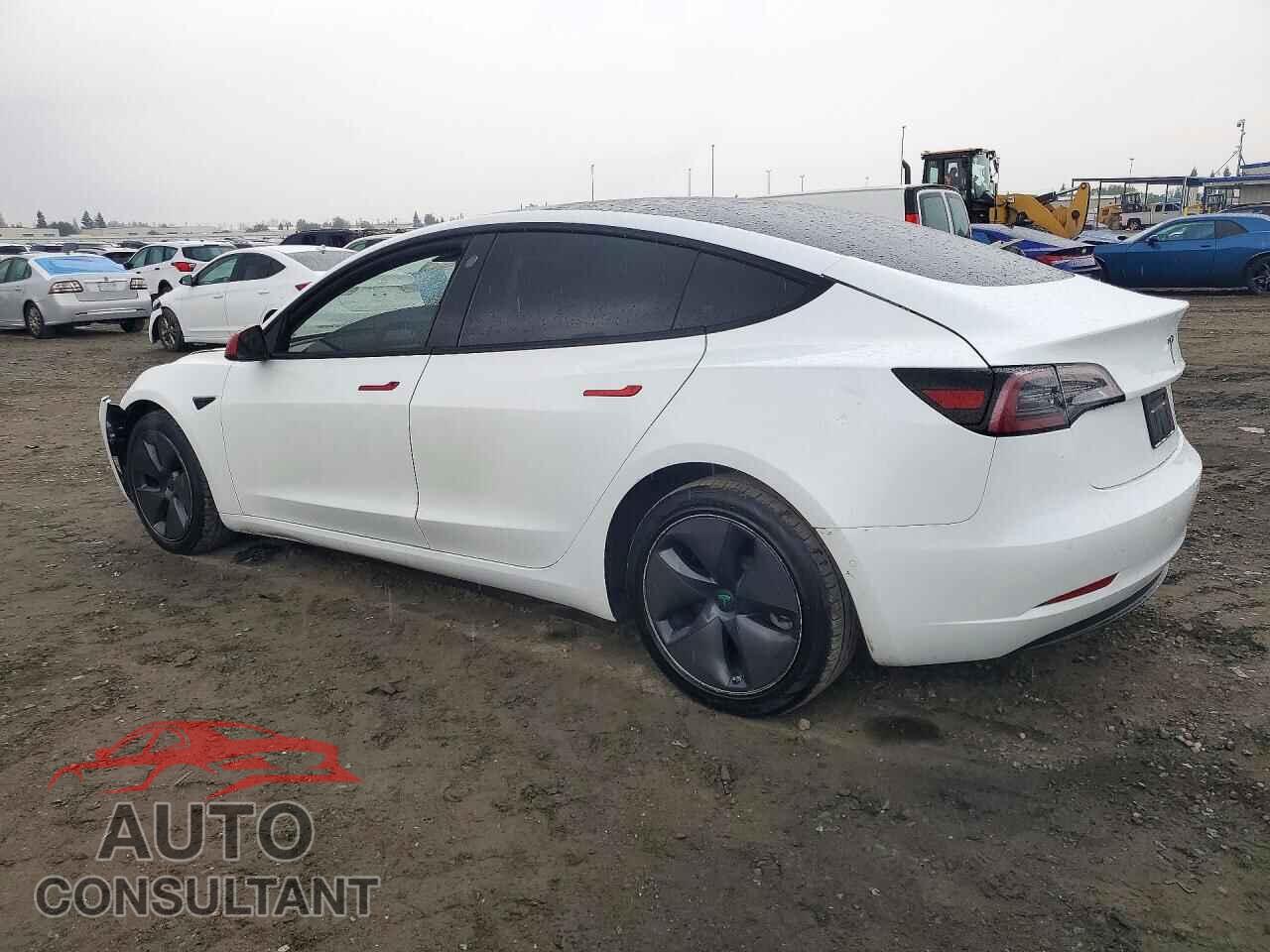 TESLA MODEL 3 2021 - 5YJ3E1EA5MF143698