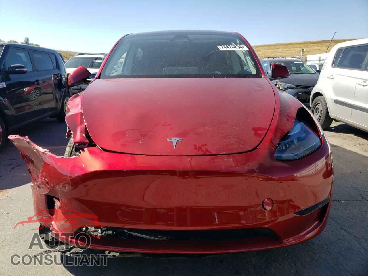 TESLA MODEL Y 2024 - 7SAYGAEE9RF198765