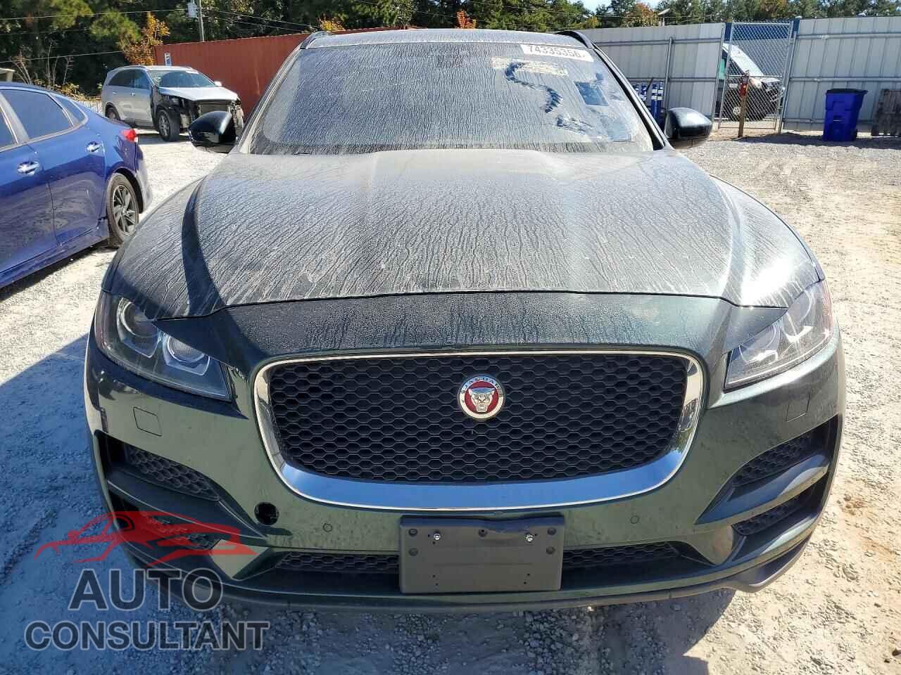 JAGUAR F-PACE 2017 - SADCJ2BV7HA092264