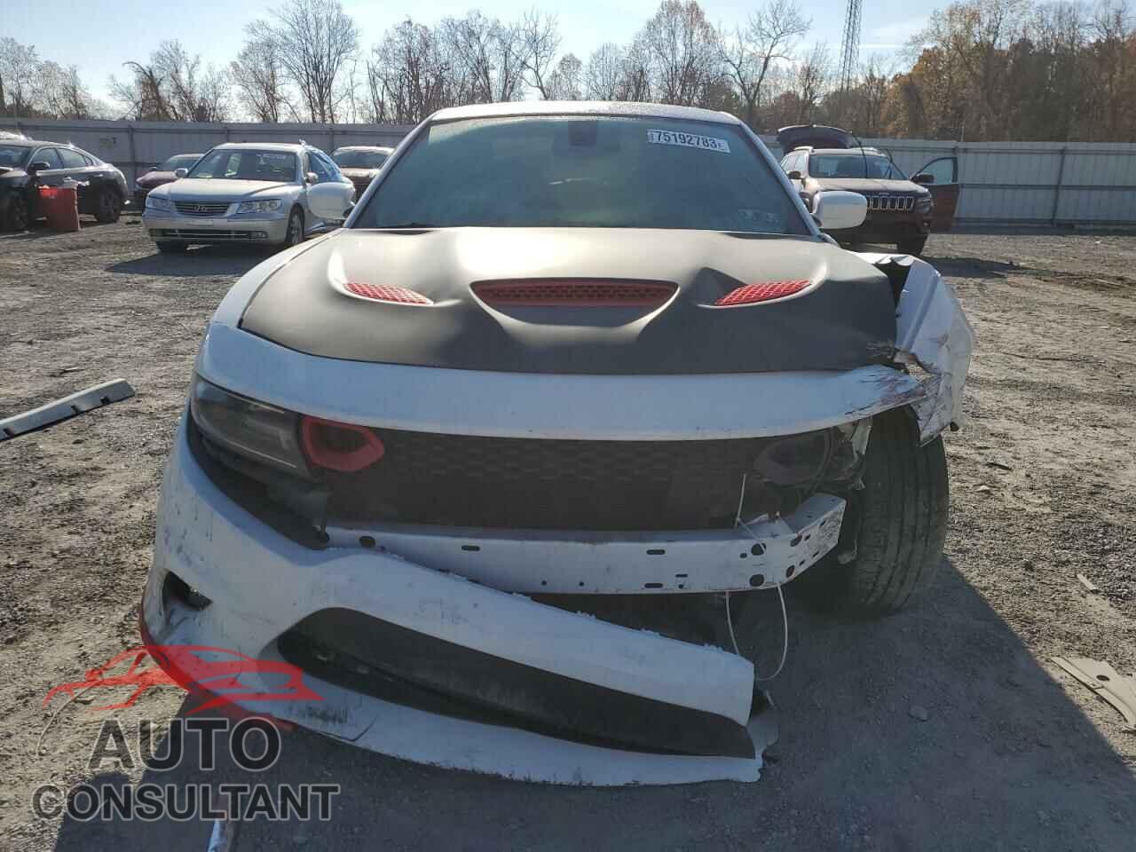DODGE CHARGER 2017 - 2C3CDXCT1HH525595