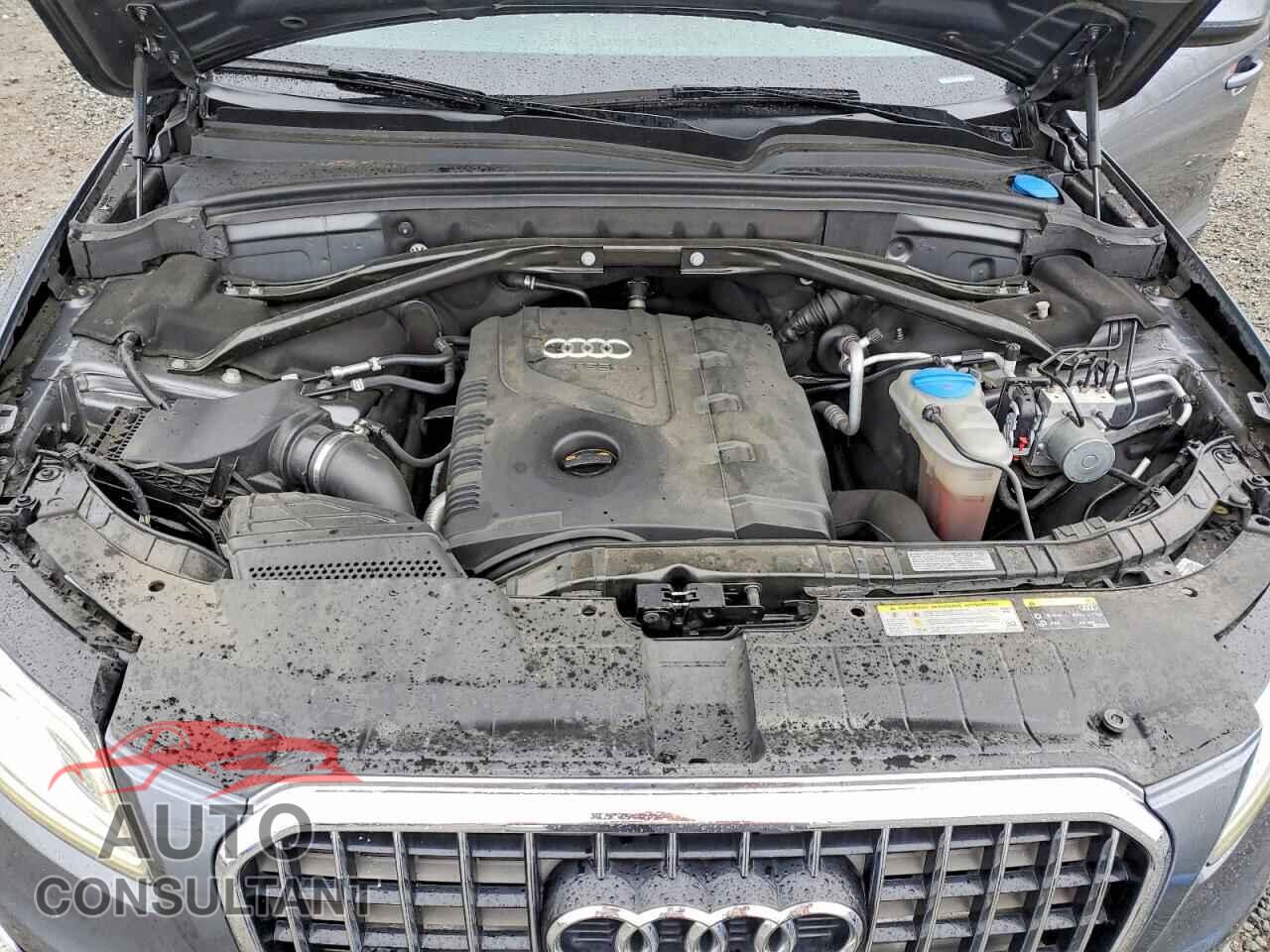 AUDI Q5 2013 - WA1CFAFP4DA021160
