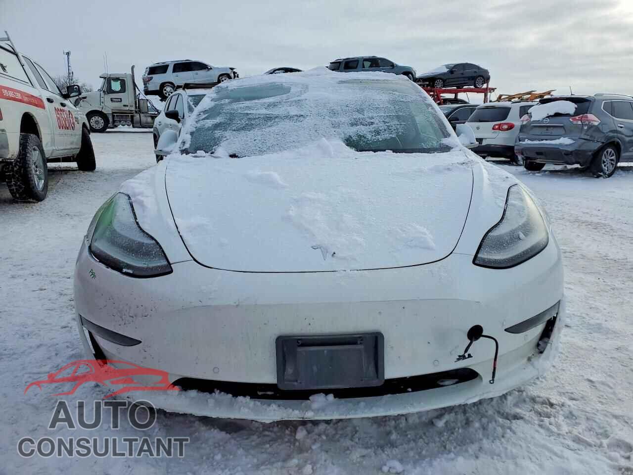 TESLA MODEL 3 2019 - 5YJ3E1EA8KF480413