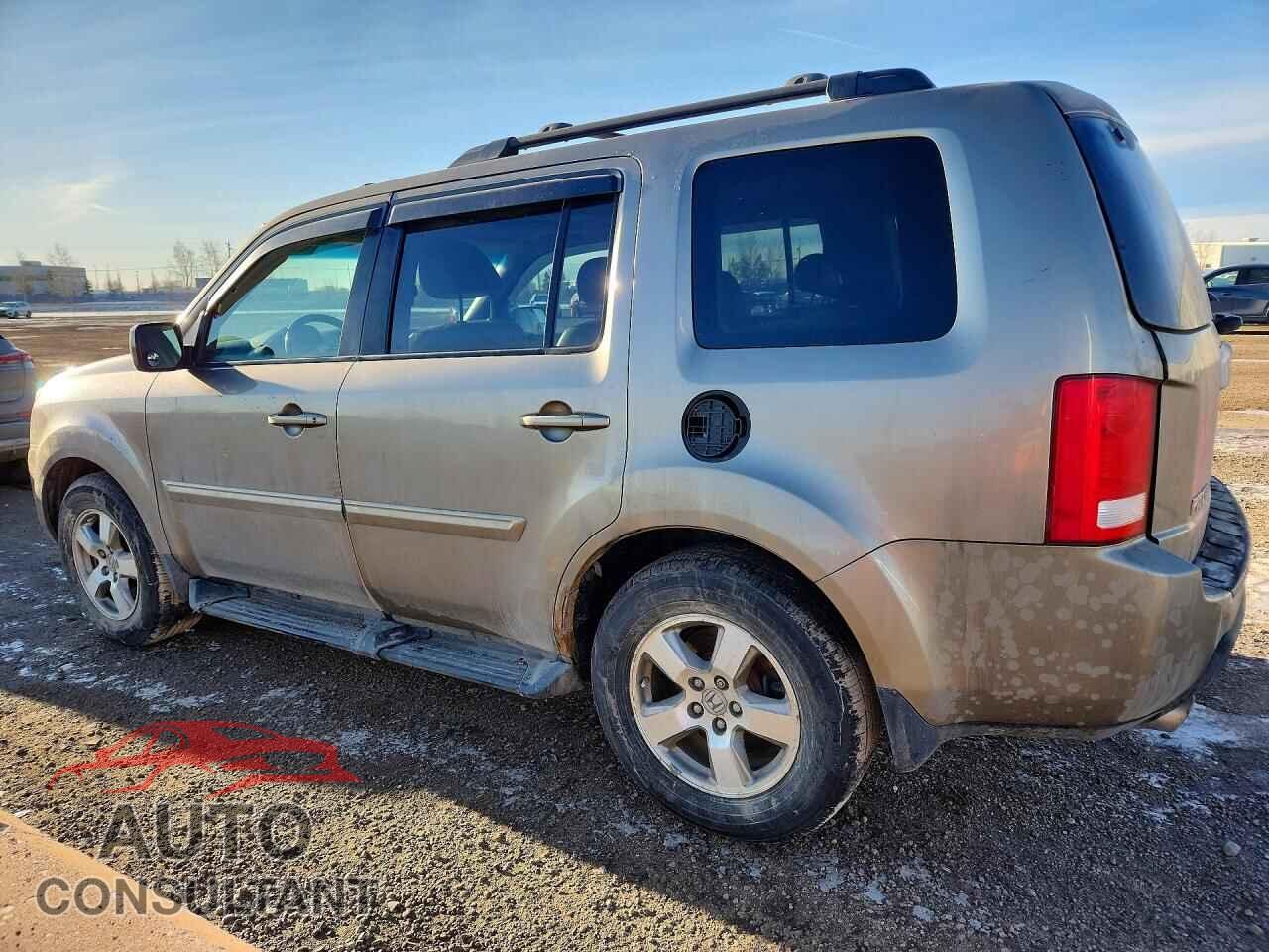 HONDA PILOT 2010 - 5FNYF4H61AB503637