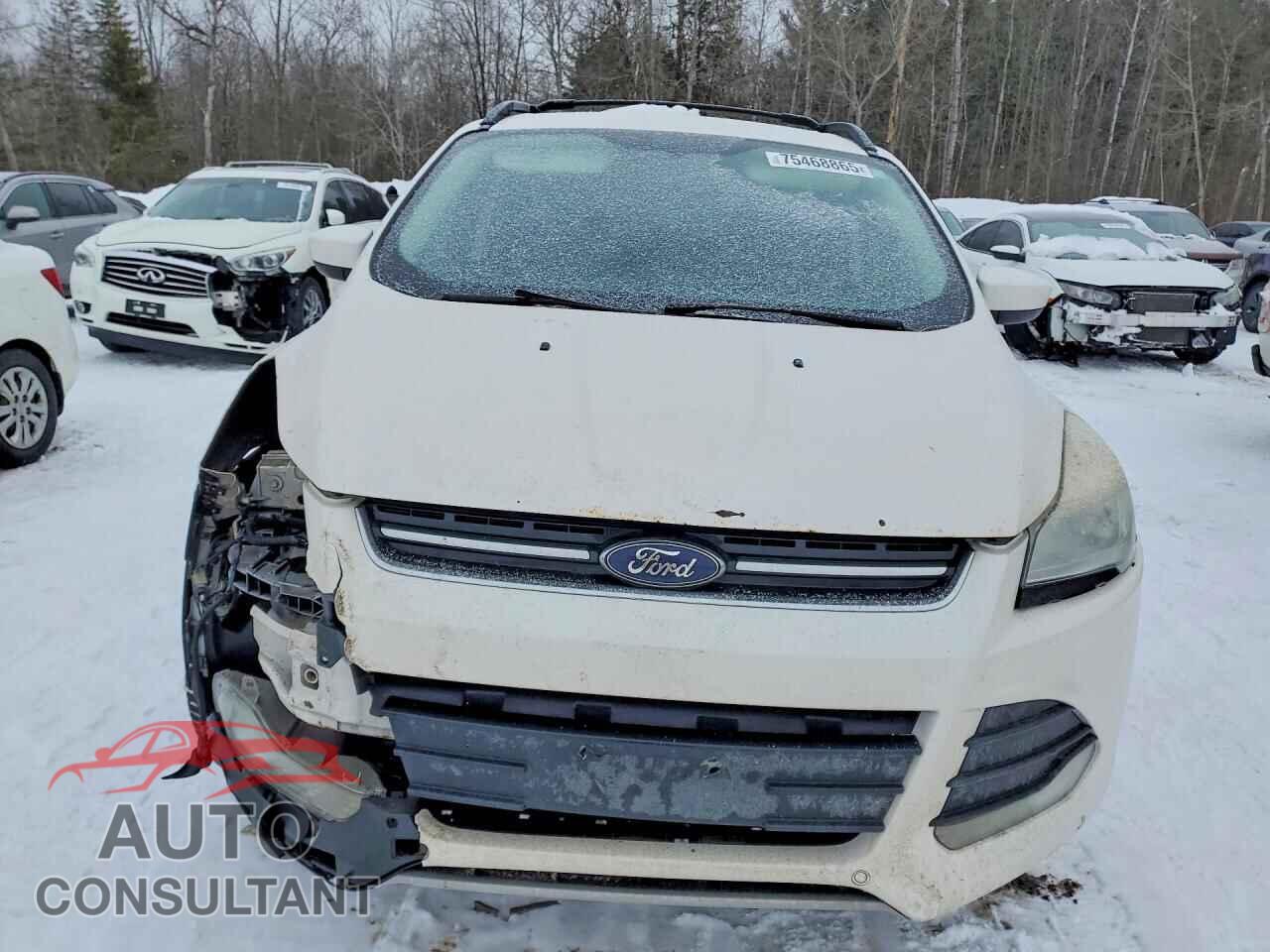 FORD ESCAPE 2013 - 1FMCU9GX2DUC04639