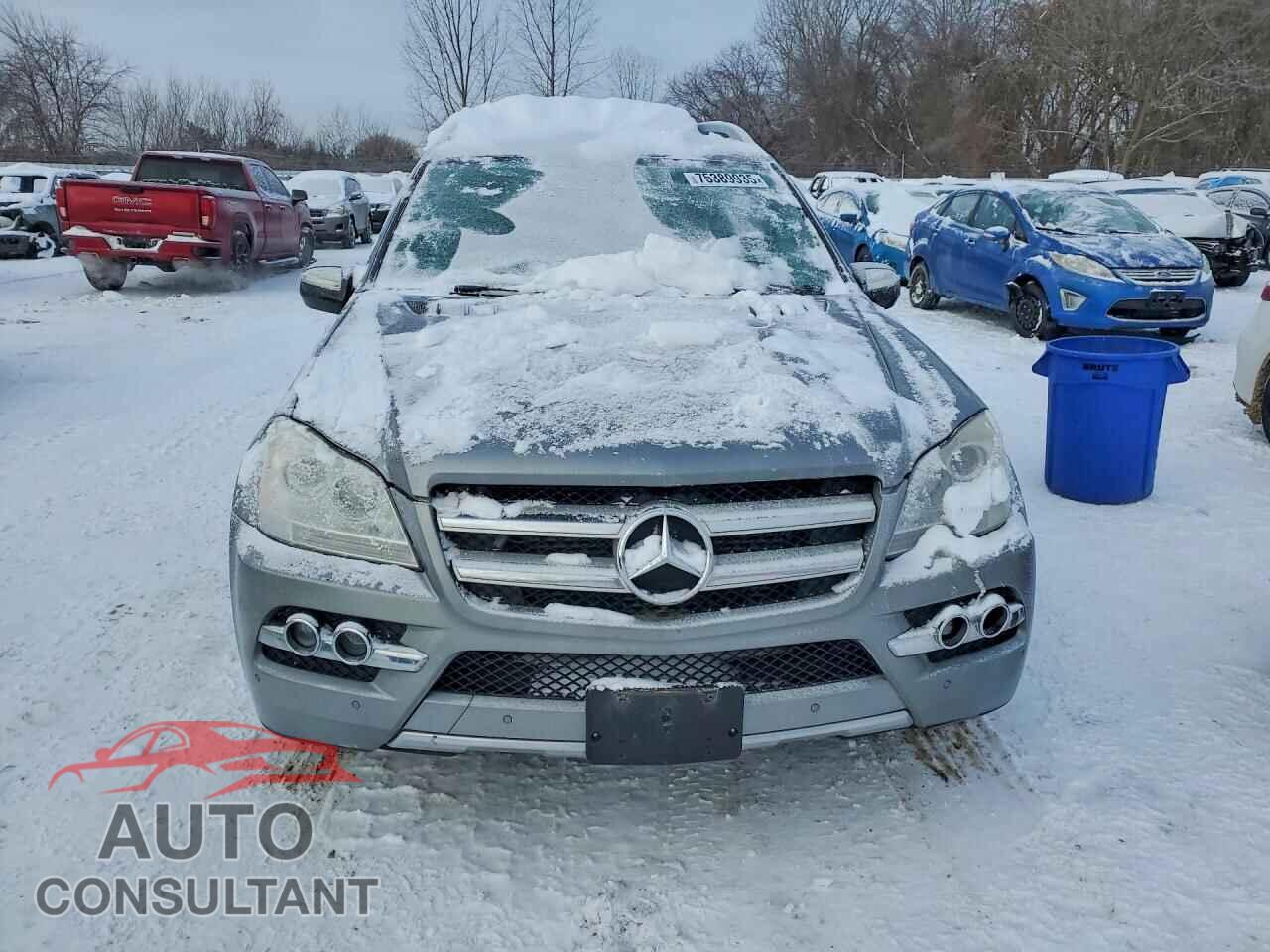 MERCEDES-BENZ GL-CLASS 2010 - 4JGBF2FE8AA581518