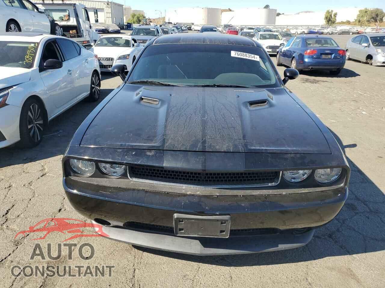 DODGE CHALLENGER 2013 - 2C3CDYAG9DH607838