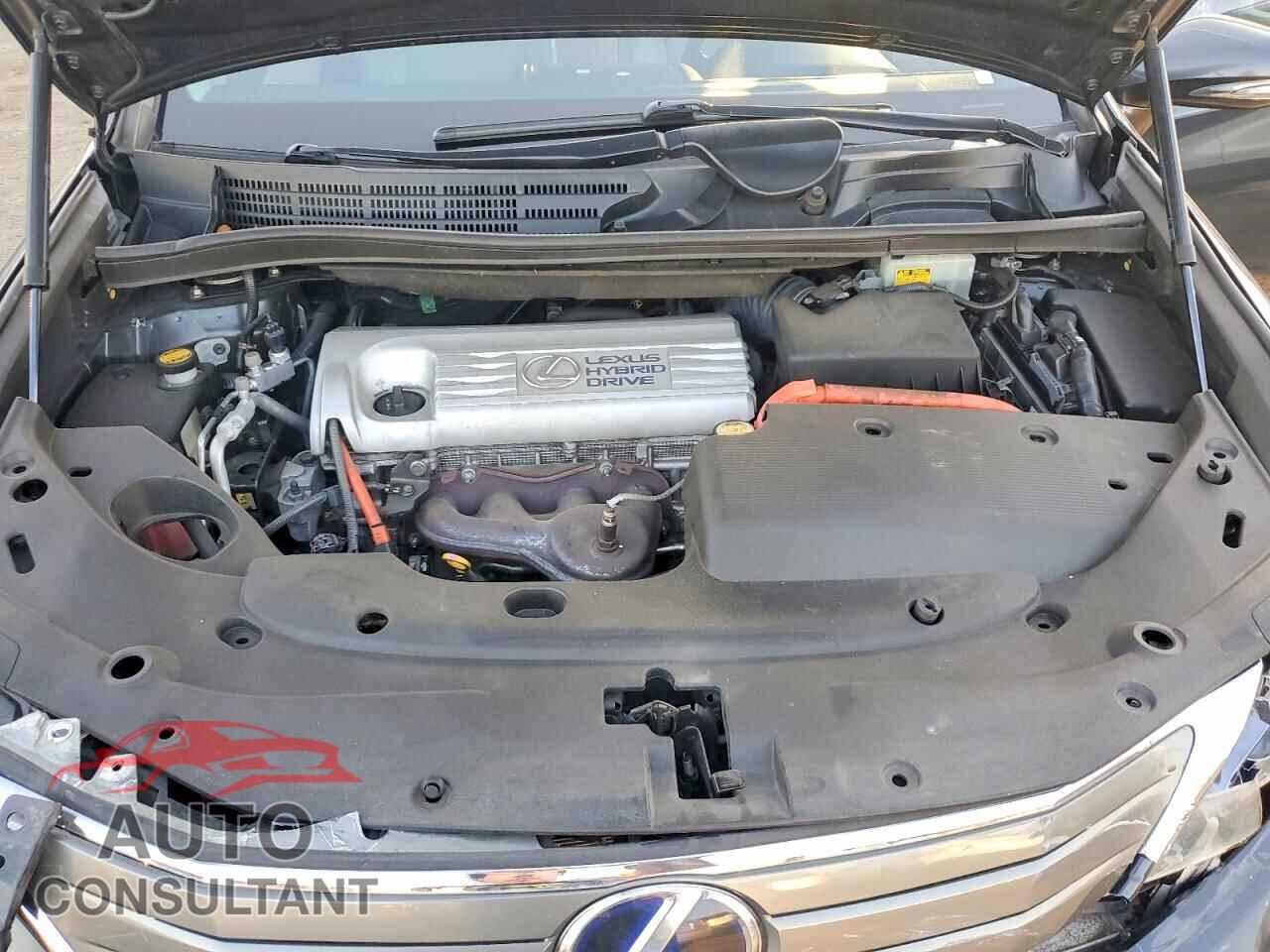 LEXUS HS 2010 - JTHBB1BA1A2019918