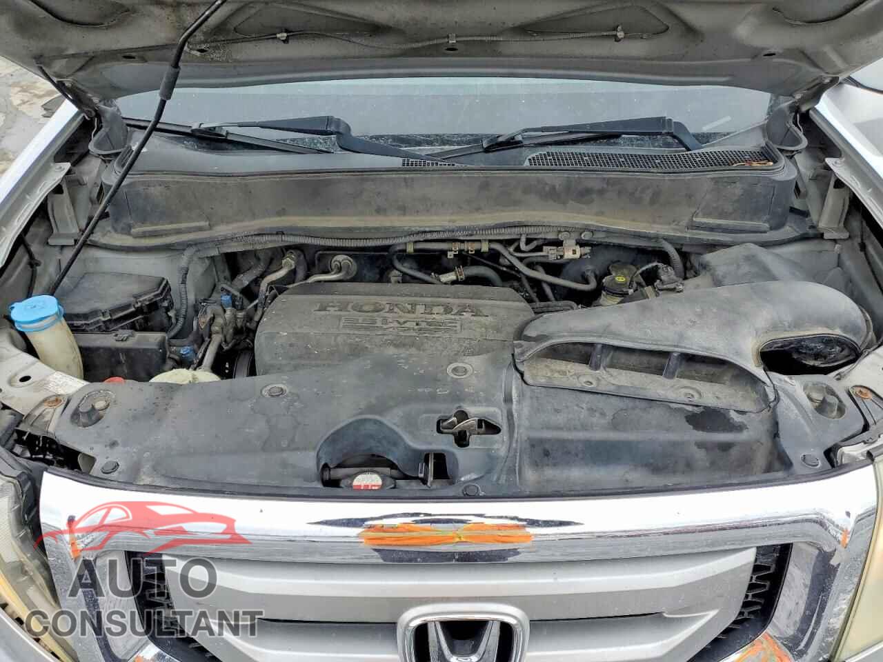 HONDA PILOT 2011 - 5FNYF4H43BB054901
