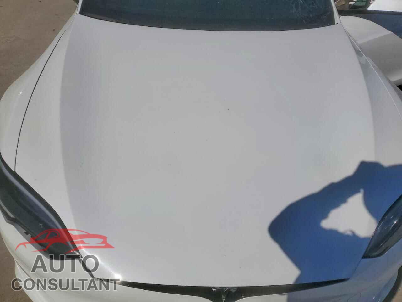 TESLA MODEL S 2024 - 5YJSA1E53RF545379