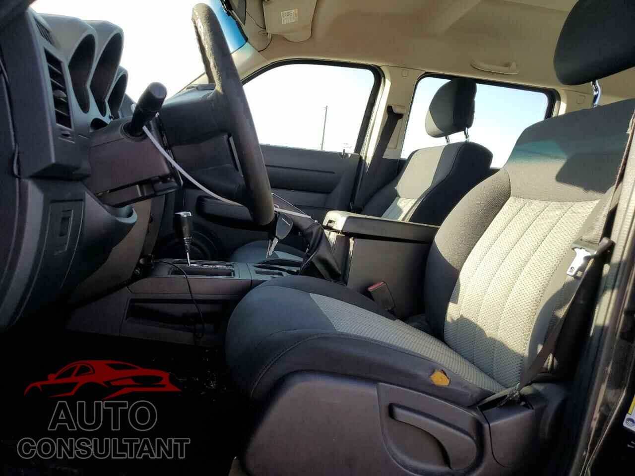 DODGE NITRO 2010 - 1D4PT2GK3AW105206