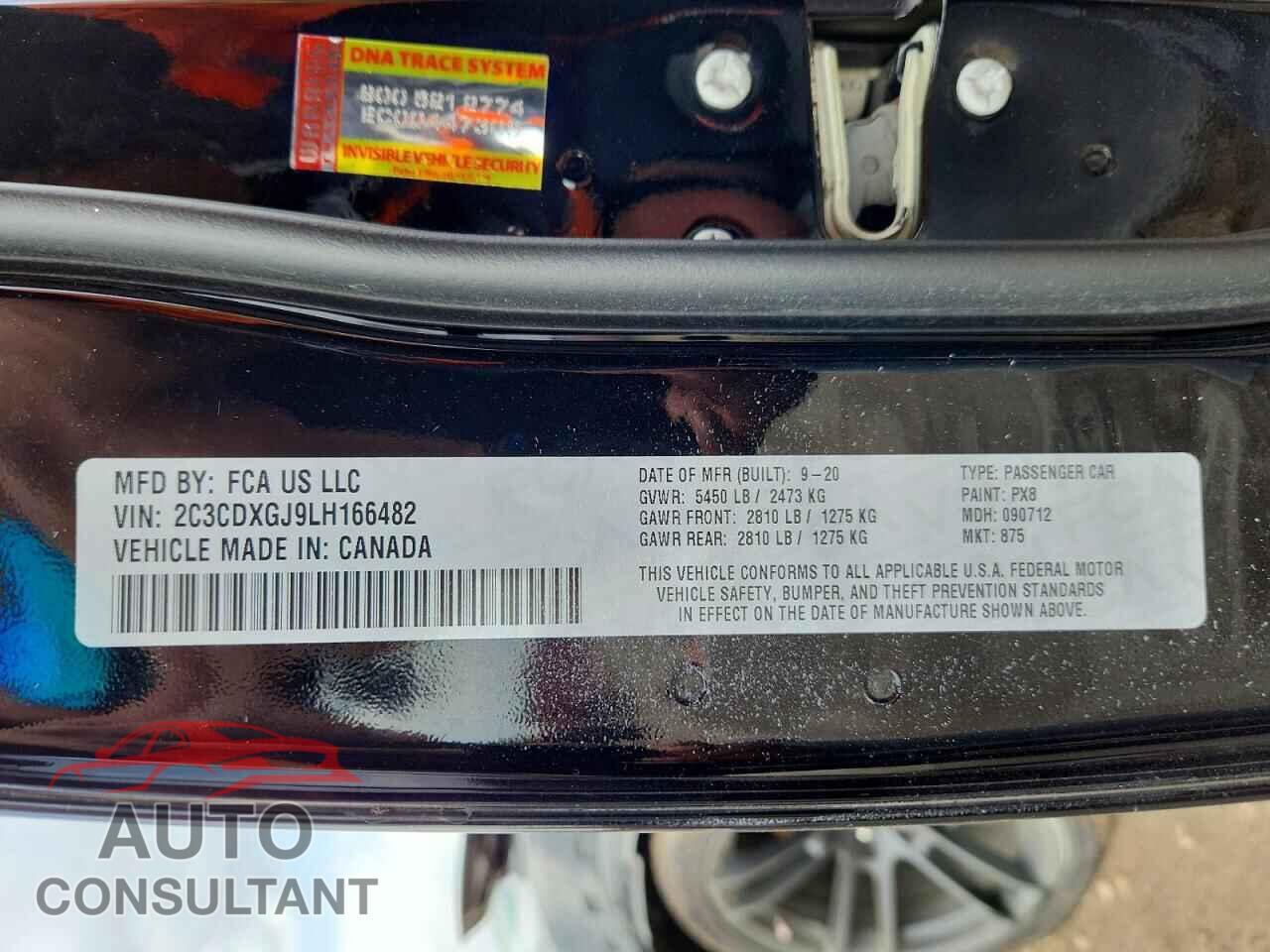 DODGE CHARGER 2020 - 2C3CDXGJ9LH166482