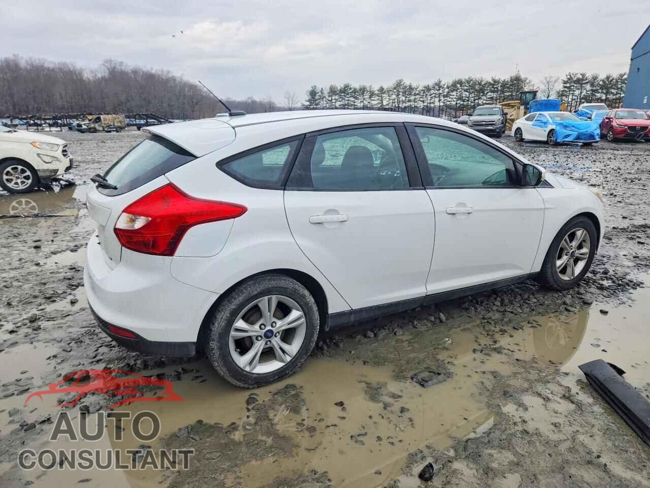 FORD FOCUS 2014 - 1FADP3K23EL359254
