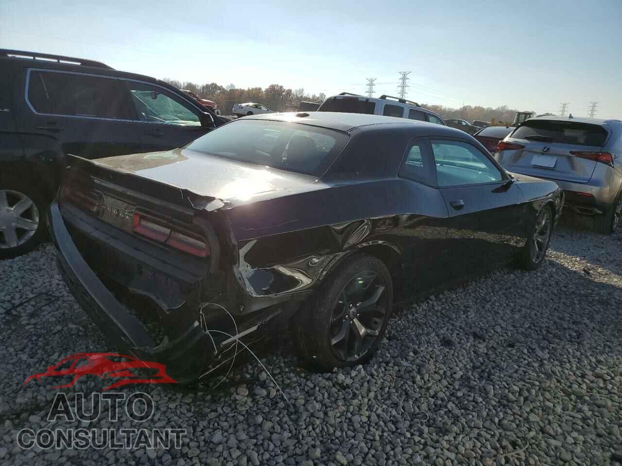 DODGE CHALLENGER 2019 - 2C3CDZBT8KH616108