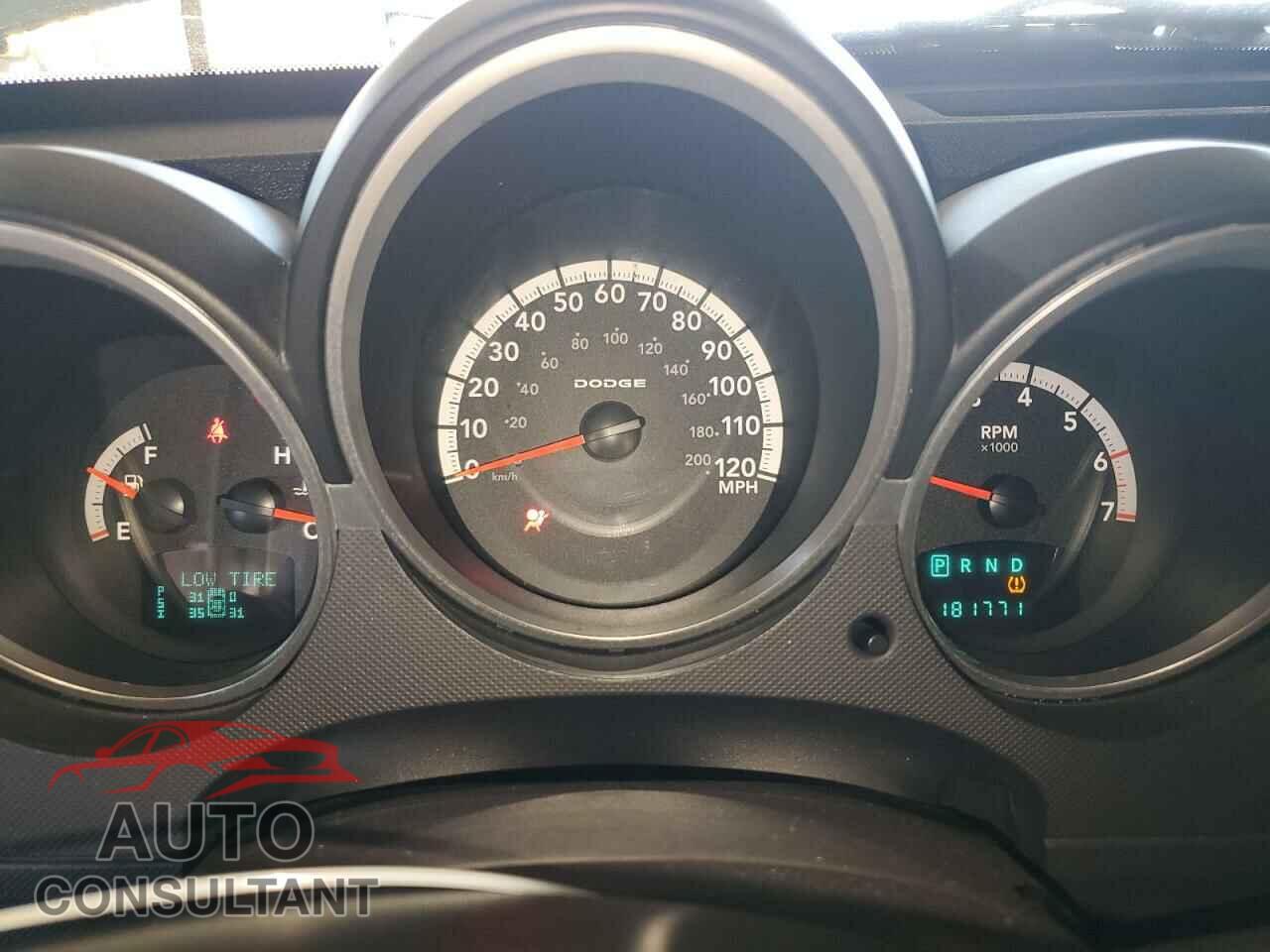 DODGE NITRO 2010 - 1D4PT5GK0AW121655